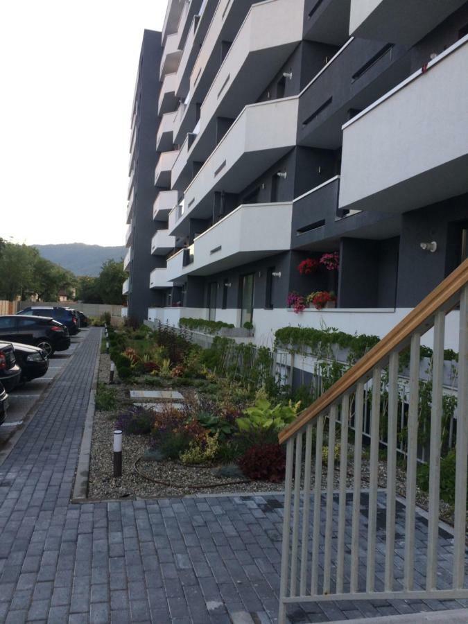Anca Alphaville III Brasov Ngoại thất bức ảnh